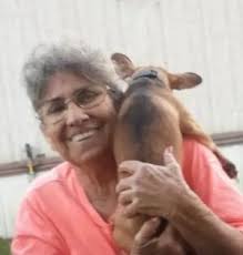 Obituary for Joy Ann (Turner) Sullivan