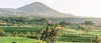 Jatiluwih Bali Harga Tiket Masuk Lokasi Sawah Terasering Bali Parahita Tour