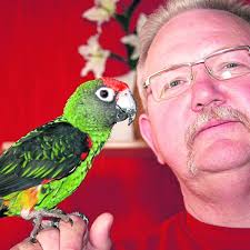 Es ist nicht nur ein einfacher  vogel  den sie sich anschaffen wollen. Platzchen Furs Federvieh Hofgeismar