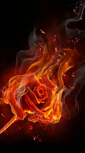 Download this free vector about fire flames background, and discover more than 10 million professional graphic resources on freepik. Iphone Aesthetic Burning Rose Wallpaper