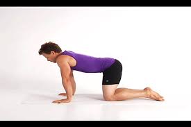 Cat Cow Yoga Pose Trajes