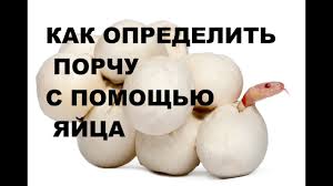 как узнать есть ли на мне порча с помощью яйца Kak Opredelit Porchu S Pomoshyu Yajca Youtube