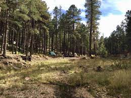Maybe you would like to learn more about one of these? Tonto National Forest Restricts Camping On Six Sections Of Streams Near Payson Local News Paysonroundup Com