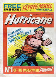 Image result for typhoon tracy