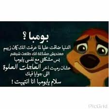 pin by amro esam on تيمون وبومبا beautiful quotes funny comments aesthetic iphone wallpaper