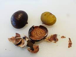 Aprire il pacchetto e risciacquare le castagne in acqua fresca. Come Fare Le Castagne Secche Essiccare Com