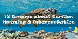 12 Dreams About Turtles Meaning Dream Interpretation Dream Meanings Dream