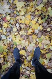 Cara download video youtube dengan cepat dan mudah di hp android . Paris To Berlin By Flight Explore Tumblr Posts And Blogs Tumgir