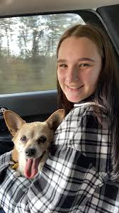 This dog is missing out