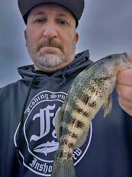 Neko Rig Tackle Loss Solutions