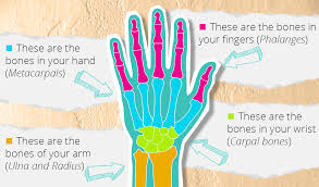 Maybe you would like to learn more about one of these? How To Draw Hands Without The Hassle Pencil Kings