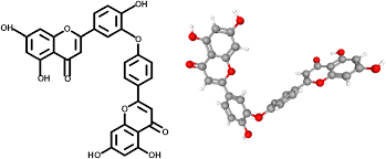 Image result for Ochna schweinfurthiana