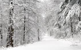 It was created by the joint photographic experts group (jpeg) and uses a compression algorithm that reduces sections of an image into blocks of pixels. Free Download Snow Path Wallpaper Winter Nature Wallpapers In Jpg Format For 1680x1050 For Your Desktop Mobile Tablet Explore 59 Winter Nature Wallpapers Winter Free Desktop Wallpaper Winter Wildlife