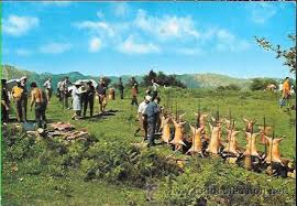 Si el pueblo tiene más por detrás, realmente no lo vi, así que si alguien se siente molesto, pido disculpas por adelantado. Postal Asturias Fiesta Del Cordero A La Esta Sold Through Direct Sale 47097115