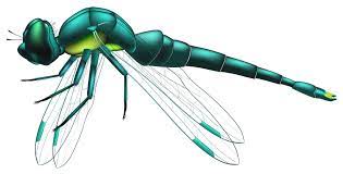 Dragonfly Blue Png Clip Art Best Web Clipart Dragonfly Clipart Dragonfly Illustration Clip Art Vintage