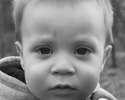 Dawn Florian Photography