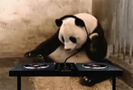 Dj Panda Gif Dj Panda Stereo Discover Share Gifs Panda Funny Dj Panda Funny Animal Videos