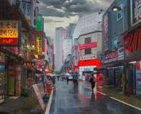 Image result for where do the japanese send their mentally ill for psychiatric treatment