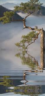 In our funny gifs category nature from our cliparts collection you will find funny animated gifs, images and graphics to download. Landscape Animated Gif Animated Gifs Animation Water Reflections Animated Graphics Landscapes Beautiful Beautiful Landscapes Nature Gif Beautiful Nature