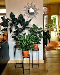¿te has preguntado cómo elegir las plantas adecuadas para tus espacios interiores? Tendencias En Decoracion Para 2020 2 Blog De Duehome Plantas Interior Decoracion Plantas Para Decorar Decoracion Plantas