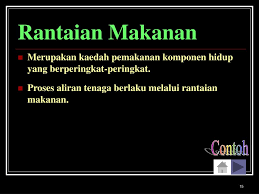 2 aliran energi dalam ekosistem rangkaian urutan pemindahan bentuk energi dari satu bentuk ke bentuk energi yang lain dari mulai : Ppt Ekosistem Powerpoint Presentation Free Download Id 1135327