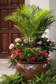 Maybe you would like to learn more about one of these? The Best Flowers For Pots In Full Sun Hgtv