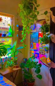 Indie Kid Filter Cool Trendy Indie Room Plants Aesthetic Colors Indie Style Indi Indie Room Decor Indie Bedroom Retro Room