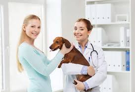 Looking for local pet veterinarians? Vca Canada Don Mills Veterinary Practice North York On 1 Trusted Vet Clinics Pet Businesses Near Me