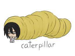 #fanart #mha fanart #bnha art #bnha fanart #aizawa fanart #aizawa shouta #shouta aizawa #aizawa shouta fanart #sleeping bag #he sleep #he sleepy #digital artist #digital art #digital drawing #class 1 a #mina and tsu did a thing #poor boy #poor dude #reblog only please #no reposting. Caterpillar By Snazzygator On Deviantart