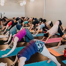 Metta yoga studios give you a sense like you're home and a team that contributes to the. Edmonton Yoga Hot Yoga Studio Metta Yoga