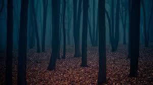 Dark Forest Wallpaper Sf Wallpaper Top Hd Backgrounds Dark Autumn 1920x1080 Download Hd Wallpaper Wallpapertip 1920x1080 theme bin blog archive dark forest road hd wallpaper. dark forest wallpaper sf wallpaper
