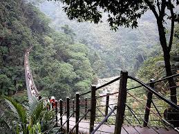 See more of 南投縣長‧林明溱 on facebook. ç«¹å±±æ¢¯å­åŠæ©‹ ç«¹å±±å¤©æ¢¯ ç«¹å±±éŽ® å—æŠ•ç¸£ å°ç£æ—…éŠè³‡è¨Š æ—…éŠå°Žè¦½ Travelkingæ—…éŠçŽ‹