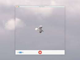 Since mac os x v10.5 leopard, the photo booth application can recognize a still background, then replace. Photo Booth Mockup By Baumgartner On Dribbble