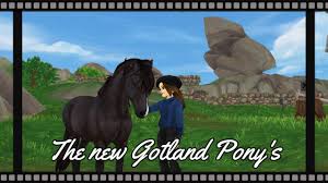 Sso finally added the 7th gotland pony coat to the. Buying One Of The New Gotland Pony S Wednesday Update Star Stable Online