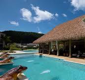 Natural vs Synthetic Thatch: Which Is Best?