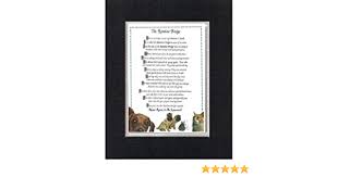 Check spelling or type a new query. Amazon Com Touching And Heartfelt Poem For Dog Memorial The Rainbow Bridge Dog Memorial Wall Decor Poem Pet Saying Bereavement On 11 X 14 Custom Cut Extra Wide Double Beveled Matting Everything Else