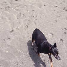 Check spelling or type a new query. Juan Carlos Ardila Home Facebook