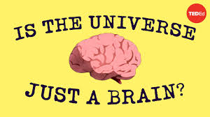 The Boltzmann Brain