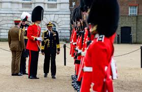 Image result for guard of honour soldier