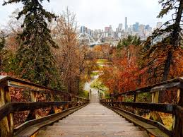 Tips for use, edmonton animal bylaws and fines for misuse. Dr Robin Mazumder He Him On Twitter The River Valley Is One Of The Things I Miss Most About Edmonton It S Pretty Amazing To Have Access To Such Lush Nature In The Center