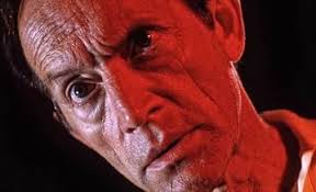 Sombra en la carretera (1995)