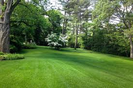 May 25, 2021 · this riverside home on the cape got a dramatic landscape upgrade an osterville property goes from prosaic to poetic with careful siting and casual plantings. Silverleaf Landscape Design