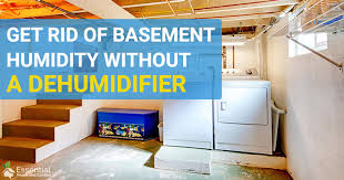 You'll want to be sure to keep your basement dehumidifier at 60% or less at a minimum. Get Rid Of Humidity In A Basement Without A Dehumidifier