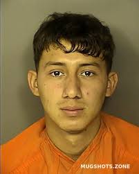 SILVA-MEJIA JAEL NOE 05/23/2025