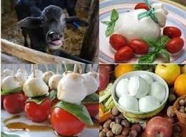 Maybe you would like to learn more about one of these? Mozzarella De Bivolita Bocconcini 250g Magazinul Hoinar