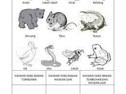 Apakah fungsi dinding sel di dalam sel tumbuhan? Sam Sam Kenchana Profile Pinterest