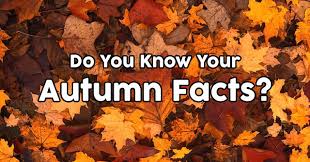 Baby shower trivia questions and answers. Do You Know Your Autumn Facts Quizpug
