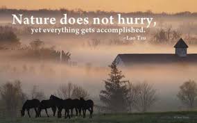 Sms with Wallpapers: Nature Beauty Quotes free download via Relatably.com