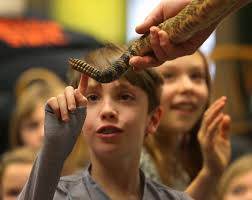 Richard the Reptile Man brings alligators, snakes and lizards for his  annual show