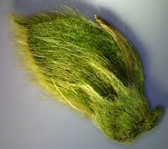 Image result for Eriosema pauciflorum